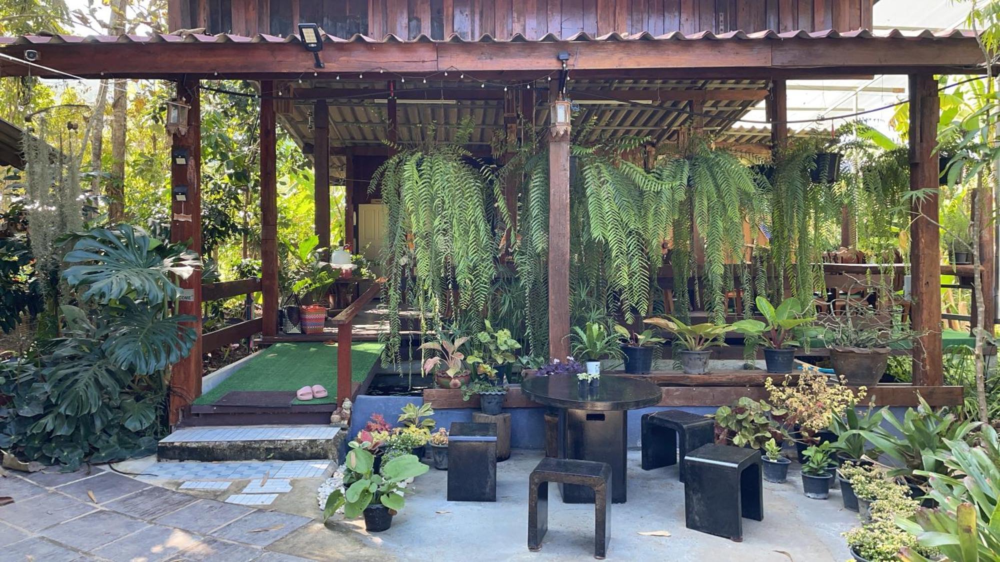 บ้านสวนวิวทุ่ง Ban Mae Sap Nua Εξωτερικό φωτογραφία